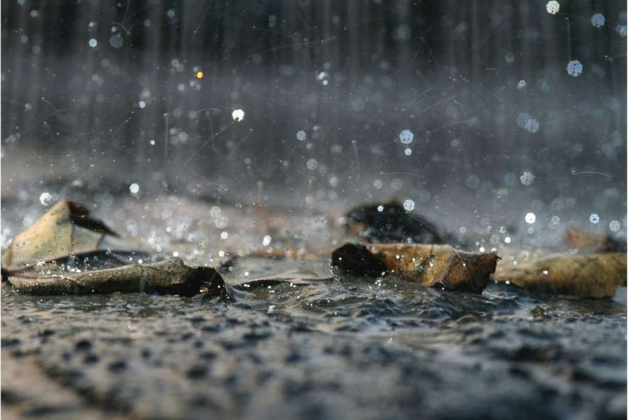 can rc cars get wet