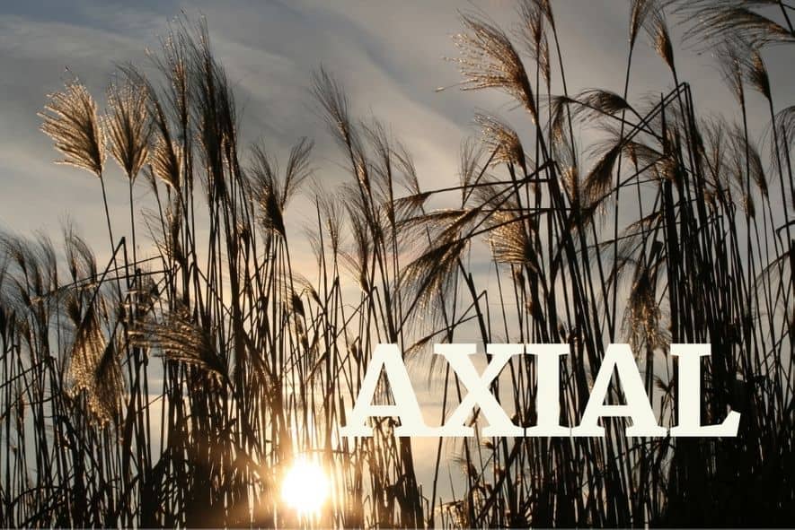 Are Axial RC Cars Good?